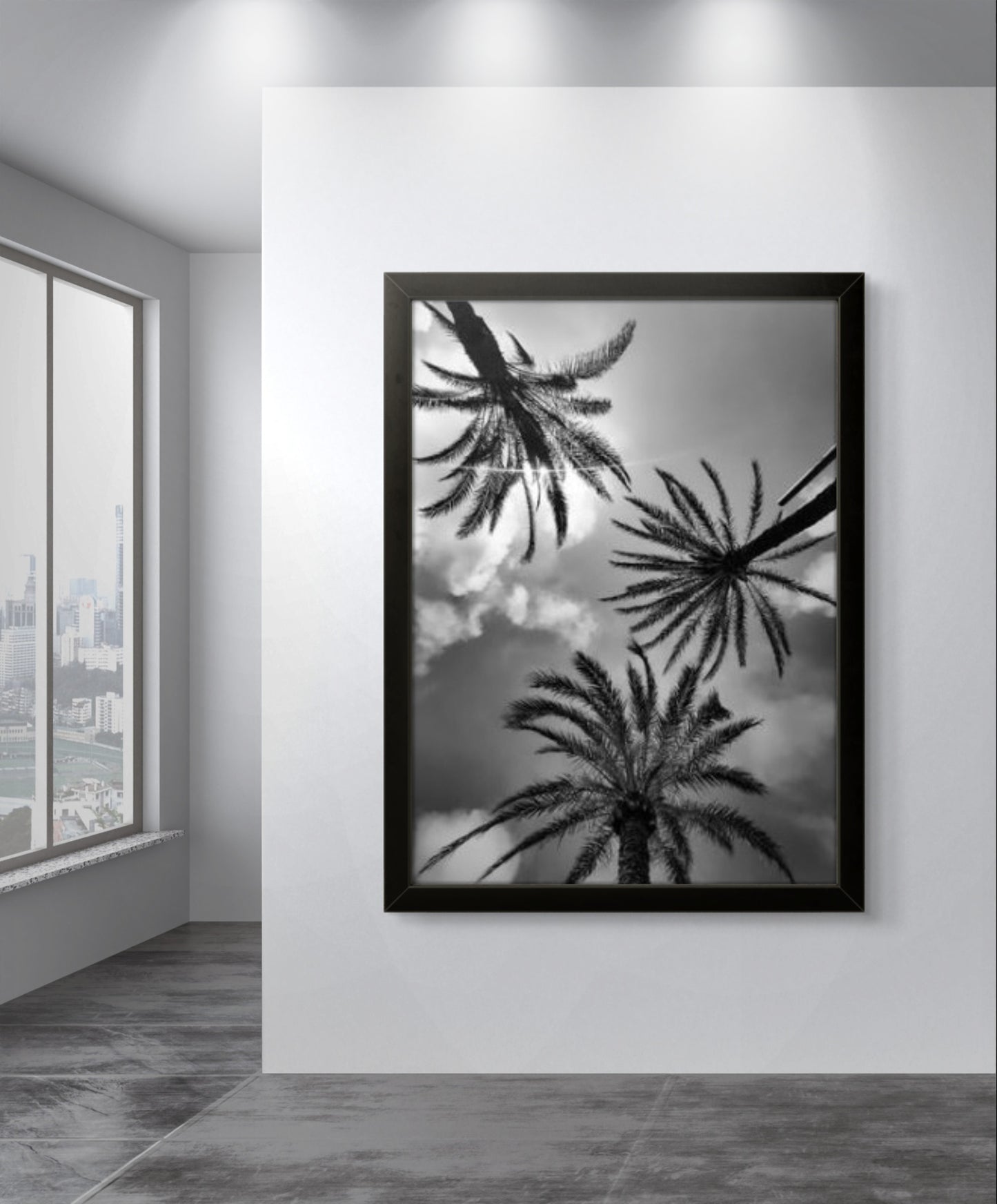 Palm Trees